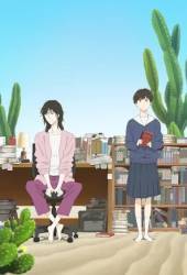 Дневник разных стран