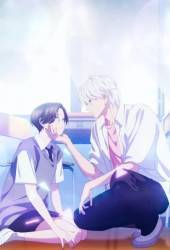 Прекрасная вечерняя луна