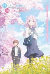 Безэмоциональная Касивада и эмоциональный Ота Безэмоциональная Касивада и эмоциональный Ота